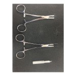 Dermal Piercing