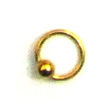 Tam Halka Kulak Piercingi3