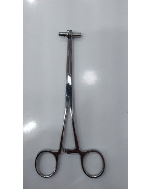 Septum Piercing Pensi Burun (Dıştan Tünelli)